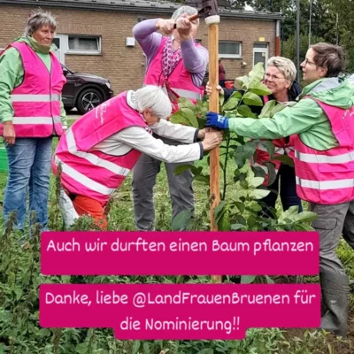 Foto des Albums: Baumpflanzchallenge