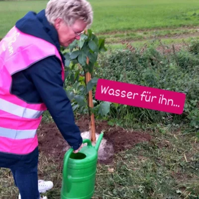 Foto des Albums: Baumpflanzchallenge