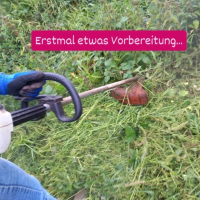 Foto des Albums: Baumpflanzchallenge