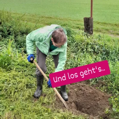 Foto des Albums: Baumpflanzchallenge