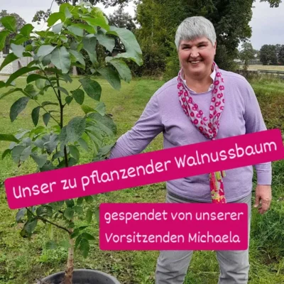 Foto des Albums: Baumpflanzchallenge