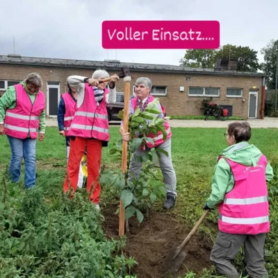 Foto des Albums: Baumpflanzchallenge