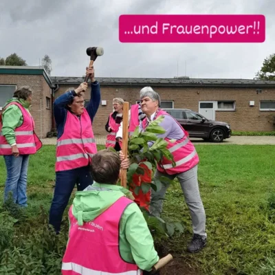Foto des Albums: Baumpflanzchallenge
