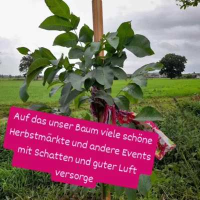 Foto des Albums: Baumpflanzchallenge