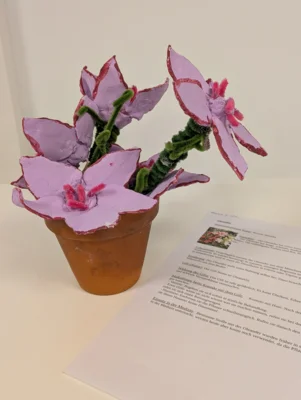 Foto des Albums: Modelle von giftigen Pflanzen - WPU 10 NaWi