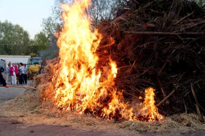 Foto des Albums: Osterfeuer des Heimatvereins Rinkerode am Ostersonntag, den 21.04.2019