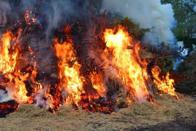 Foto des Albums: Osterfeuer des Heimatvereins Rinkerode am Ostersonntag, dem 16.04.2017