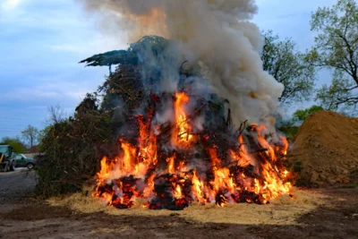 Foto des Albums: Osterfeuer des Heimatvereins Rinkerode am Ostersonntag, dem 16.04.2017