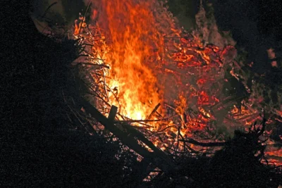 Foto des Albums: Osterfeuer des Heimatvereins Rinkerode am Ostersonntag, dem 16.04.2017