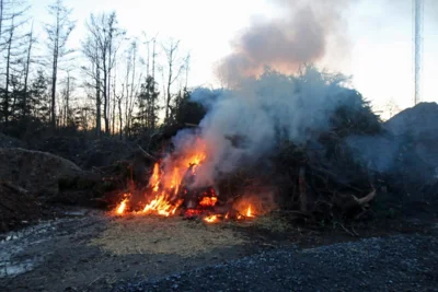 Foto des Albums: Einige Impressionen vom Osterfeuer 2016