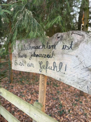 Foto des Albums: Impressionen vom Weihnachtsmarktbesuch in Borken-Marbeck