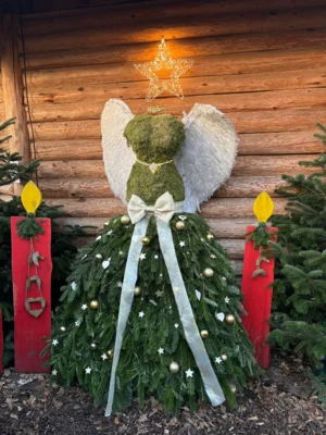 Foto des Albums: Impressionen vom Weihnachtsmarktbesuch in Borken-Marbeck