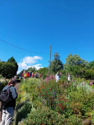 Foto des Albums: Impressionen Gartentour 2024
