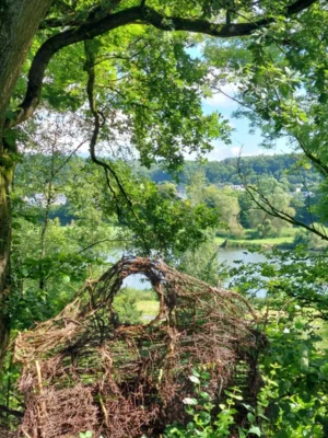 Foto des Albums: Impressionen Gartentour 2024