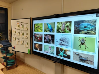 Biologieraum  (Bild vergr&ouml;&szlig;ern)