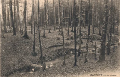 Foto des Albums: Quelle Ruhner Berge