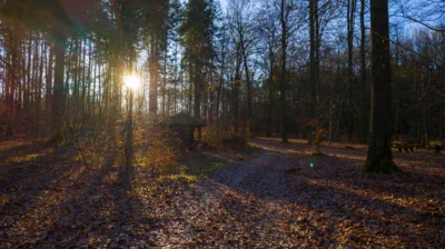 Foto des Albums: Quelle Ruhner Berge