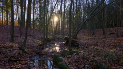 Foto des Albums: Quelle Ruhner Berge