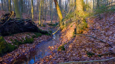 Foto des Albums: Quelle Ruhner Berge