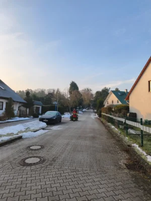 20260117-Weihnachtsbaumsammlung-05  (Bild vergr&ouml;&szlig;ern)