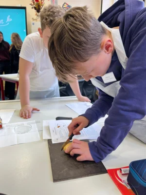 Foto des Albums: Naturwissenschaftswettbewerb 16.1.2026