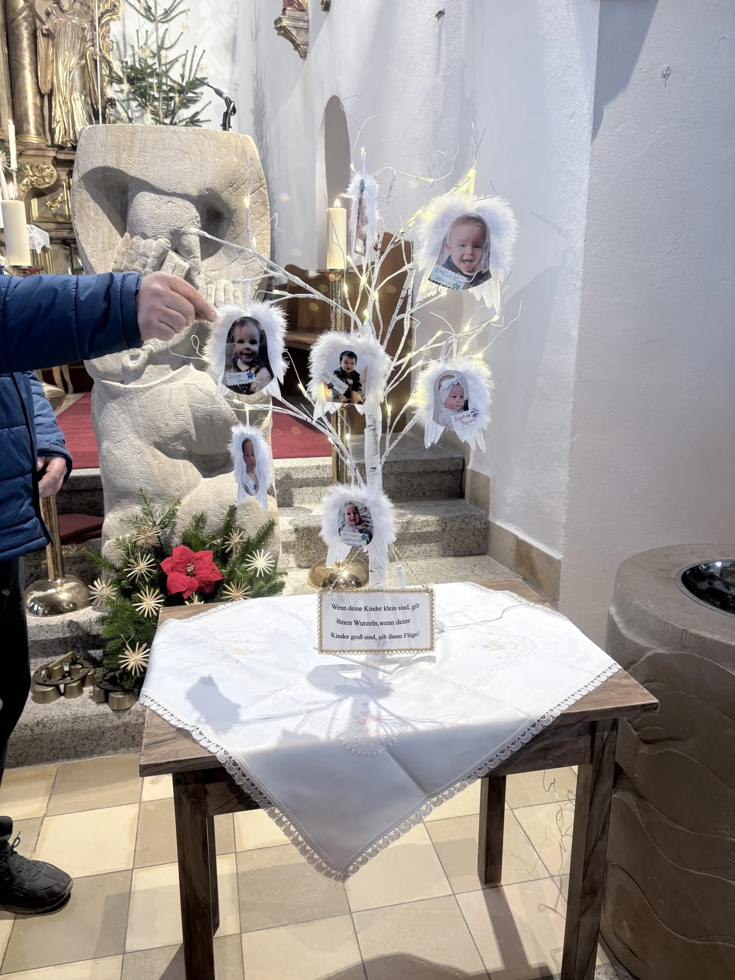 Bild der Galerie