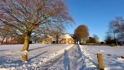 Schneebilder  (Bild vergr&ouml;&szlig;ern)