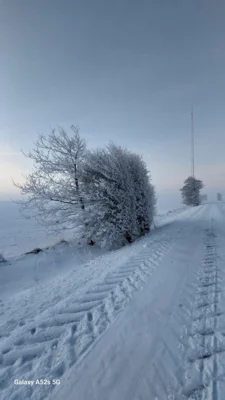 Schneebilder  (Bild vergr&ouml;&szlig;ern)