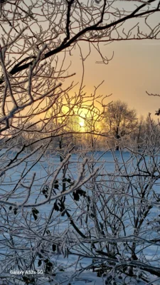 Schneebilder  (Bild vergr&ouml;&szlig;ern)