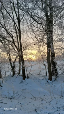 Schneebilder  (Bild vergr&ouml;&szlig;ern)