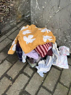 Foto des Albums: CleanUp Hürth am Kiebitzweg