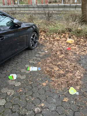 Foto des Albums: CleanUp Hürth am Kiebitzweg