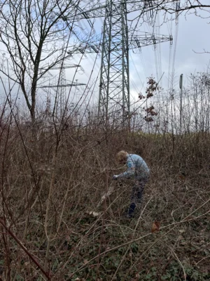 Foto des Albums: CleanUp Hürth am Kiebitzweg
