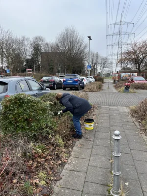 Foto des Albums: CleanUp Hürth am Kiebitzweg