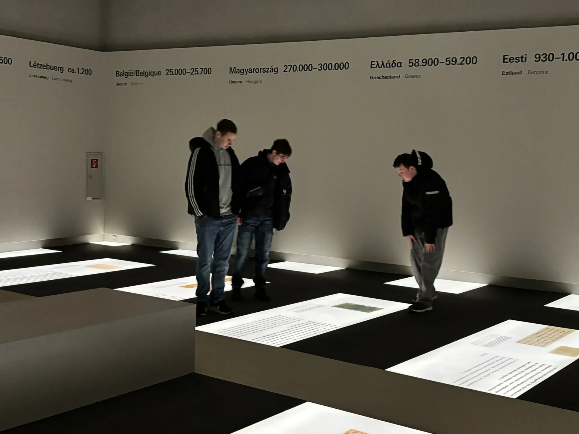 Bild der Galerie