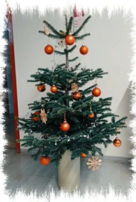 Foto des Albums: Weihnachtliche Stimmung an der Grundschule Brück