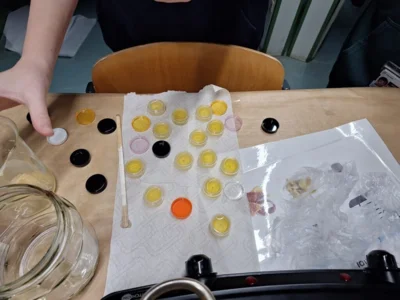 Foto des Albums: Begegnungen zwischen Groß und Klein am Naturwissenschaftstag der Oberschule Brück