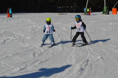 Foto des Albums: Skikurs 2026