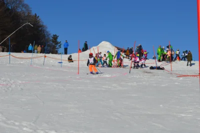 Foto des Albums: Skikurs 2026