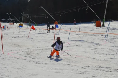 Foto des Albums: Skikurs 2026