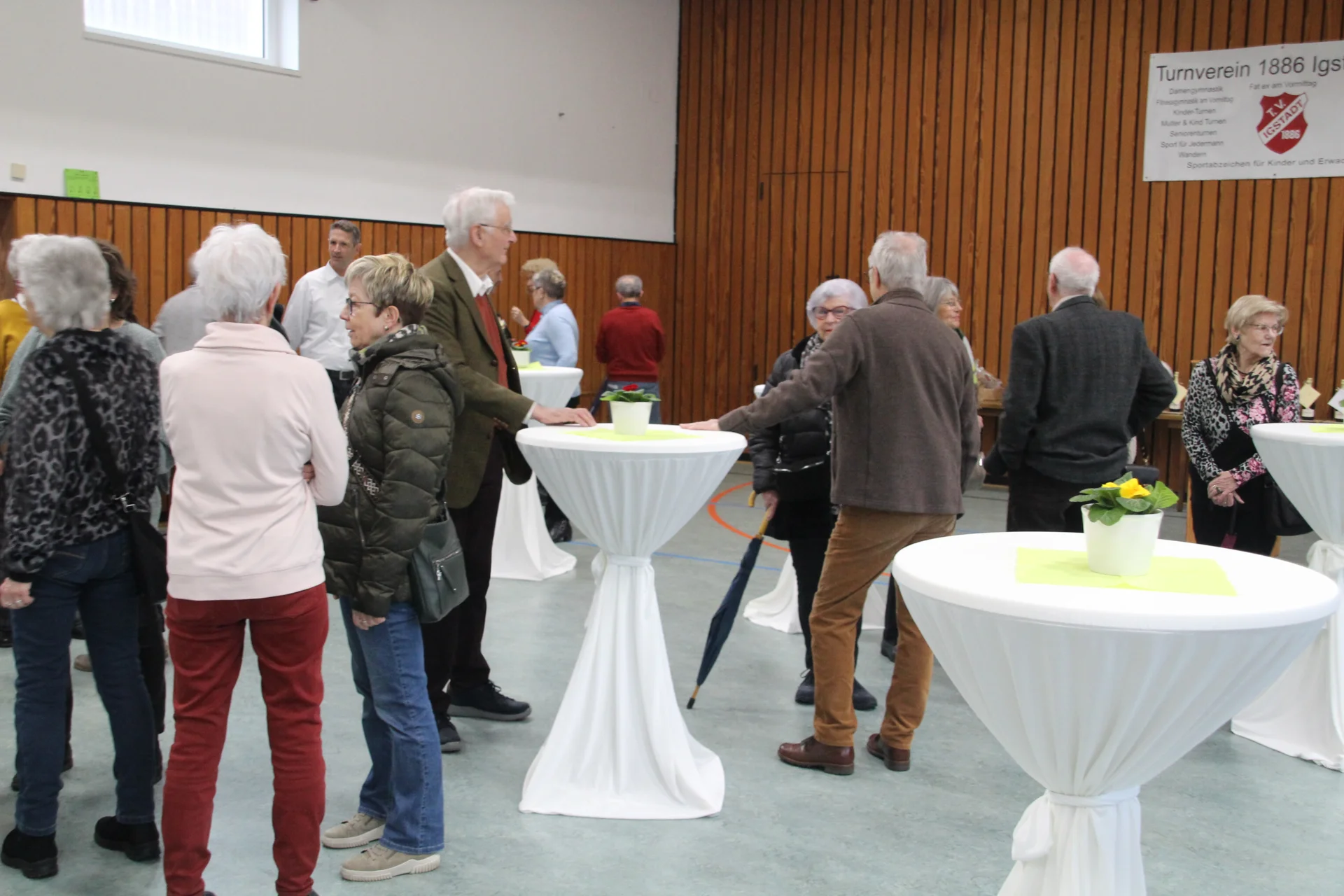 Bild der Galerie