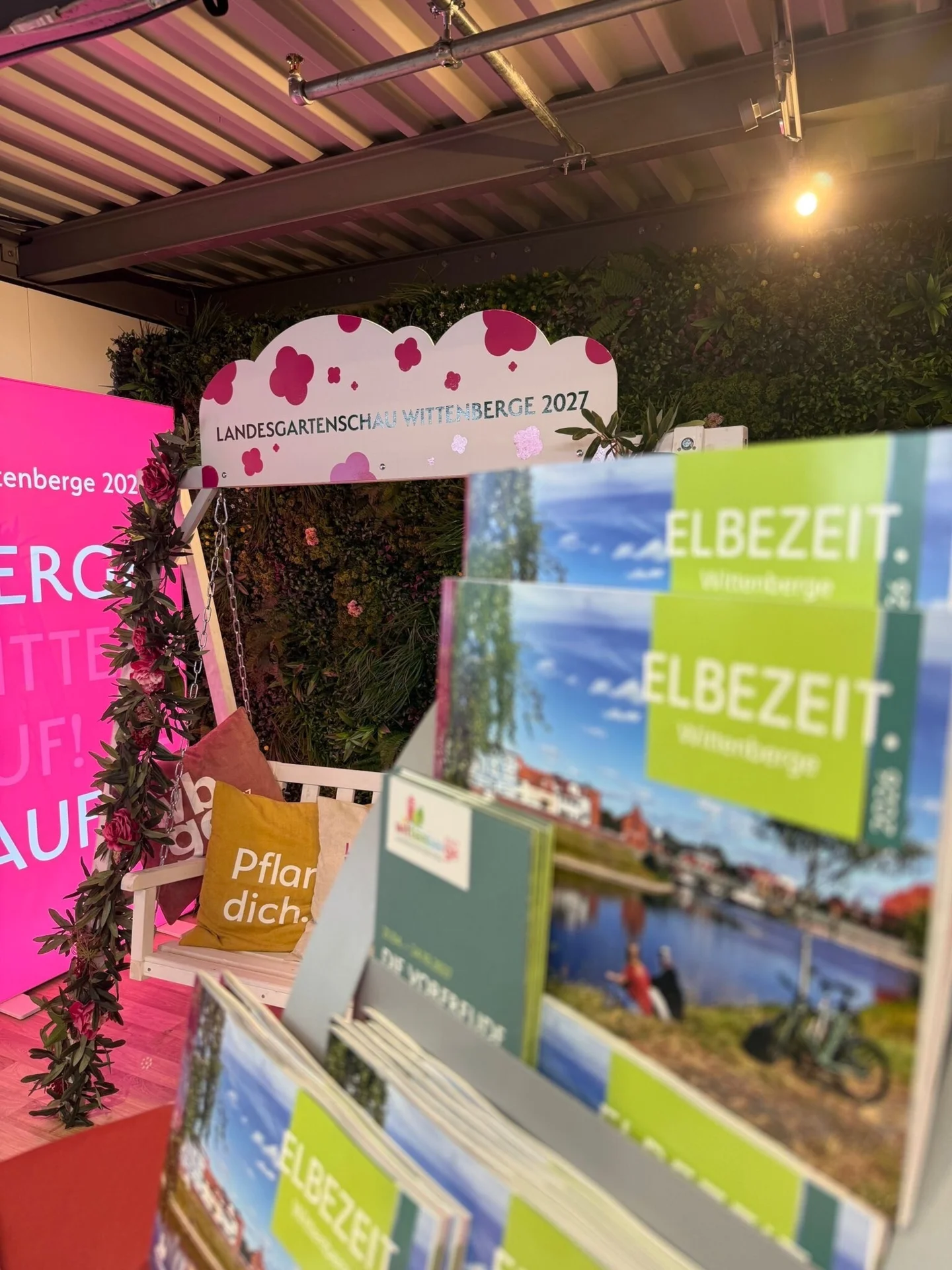 Bild der Galerie