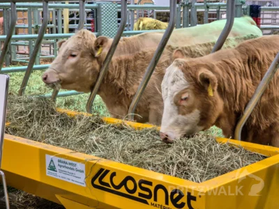 Foto des Albums: 770 Jahre Stadtrecht für Pritzwalk waren der Mittelpunkt