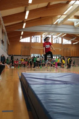 Foto des Albums: Winterpower 2026