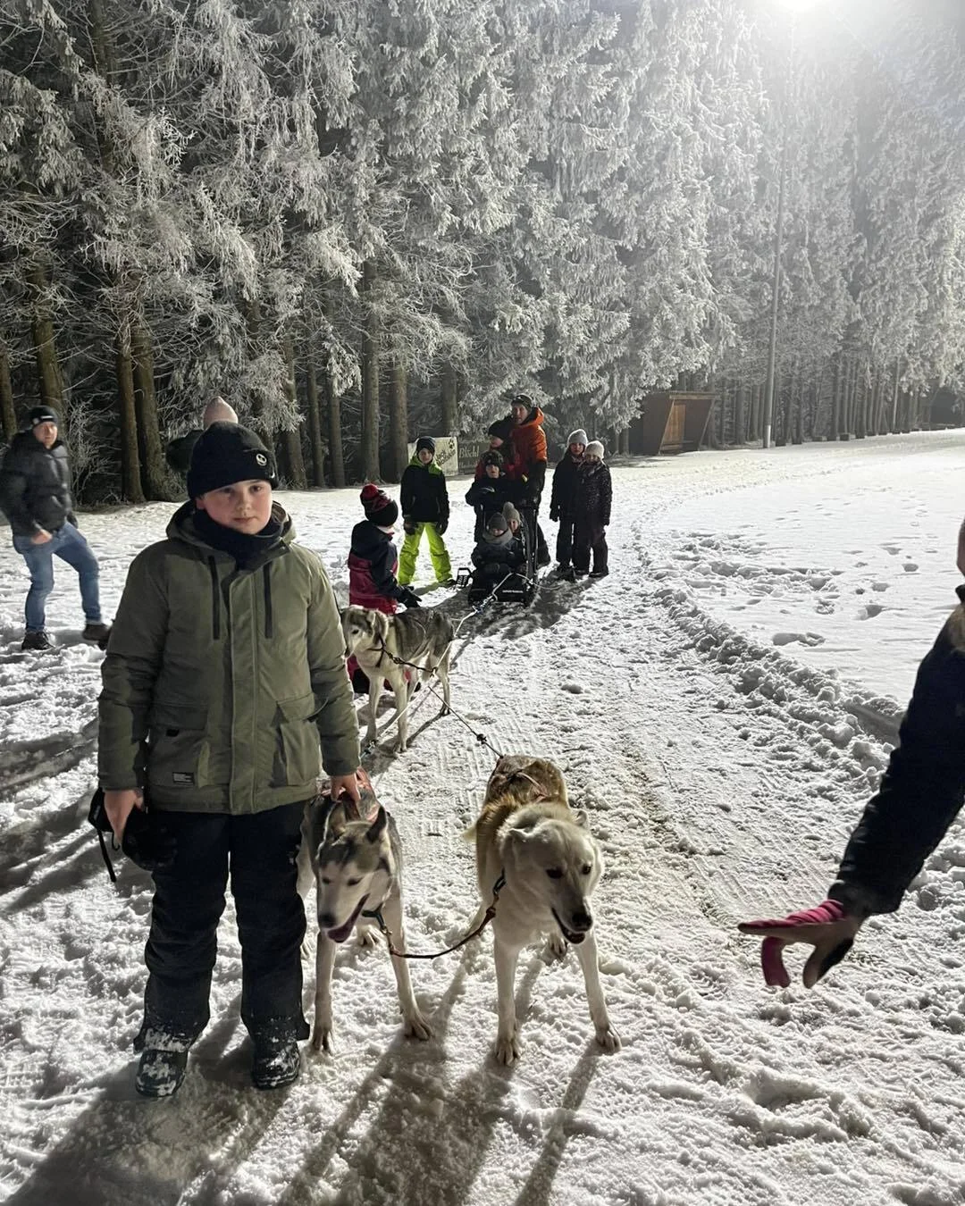 Bild: Kinder mit Schlittenhunde
