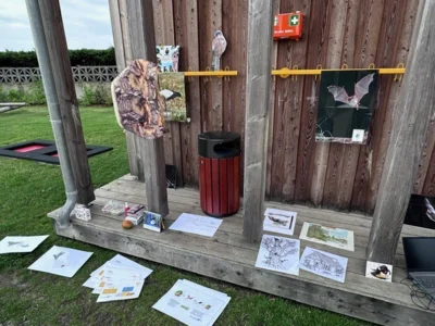 Foto des Albums: VIVA LA FAUNA