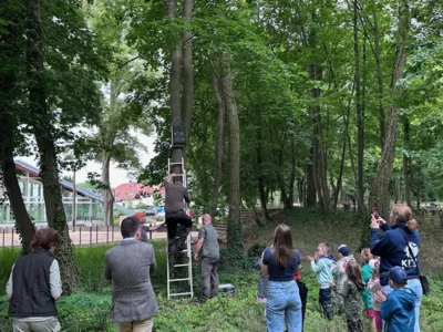 Foto des Albums: VIVA LA FAUNA