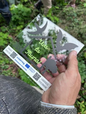 Foto des Albums: VIVA LA FAUNA