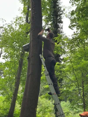 Foto des Albums: VIVA LA FAUNA