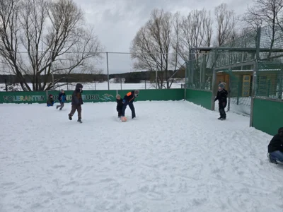 Foto des Albums: Winterfreude